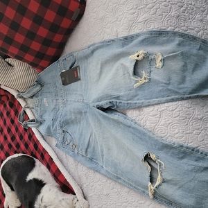 Levis overalls
